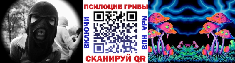 дарнет шоп  Чаплыгин  Псилоцибиновые грибы ЛСД 